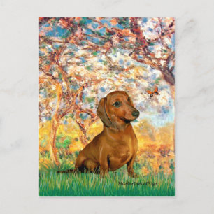 Dachshund (brun1) - Vår Vykort