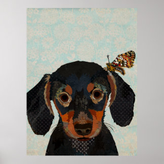 DACHSHUND & BUTTERFLY POSTER