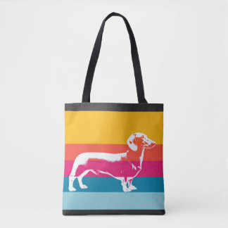 Dachshund by colorful stripes tygkasse