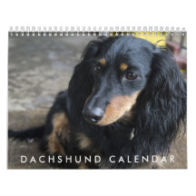 Dachshund Calendar 2016