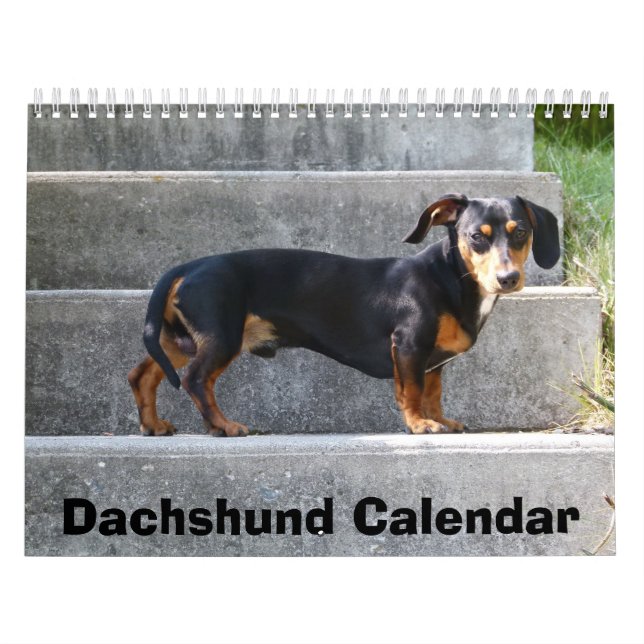 Dachshund Calendar 2023 Add Your Photos Kalender (Omslag)