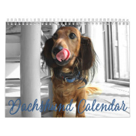 Dachshund Calendar 2023 Customized Photos Kalender