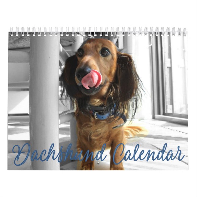Dachshund Calendar 2023 Customized Photos Kalender (Omslag)