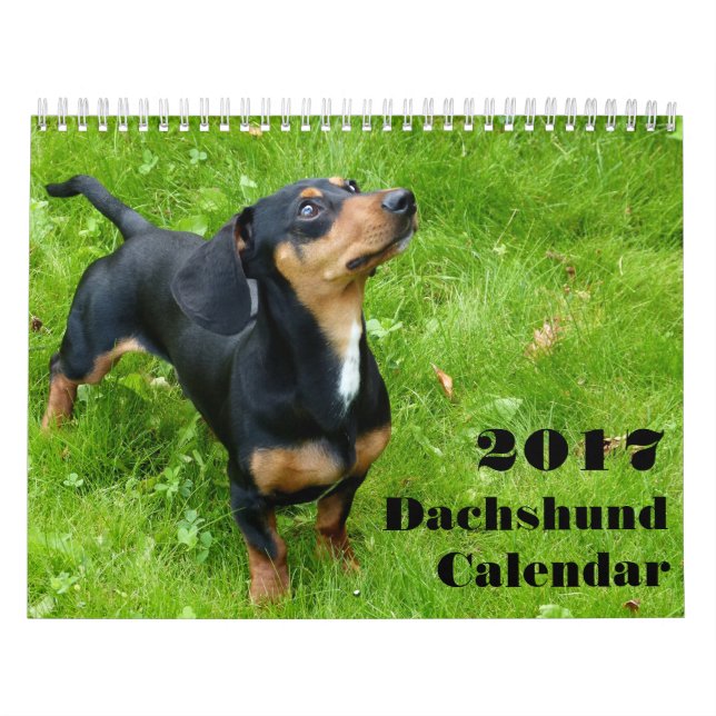 Dachshund Calendar 2023 med dina foton Kalender (Omslag)