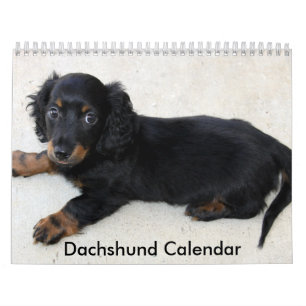 Dachshund Calendar 2023 Personlig Foton Kalender
