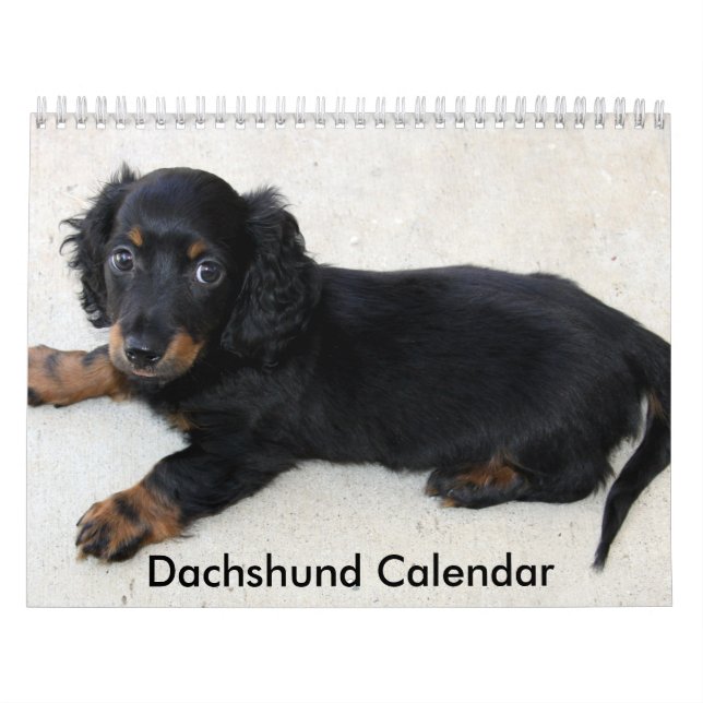 Dachshund Calendar 2023 Personlig Foton Kalender (Omslag)