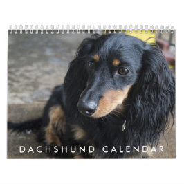 Dachshund Calendar 2026 Kalender