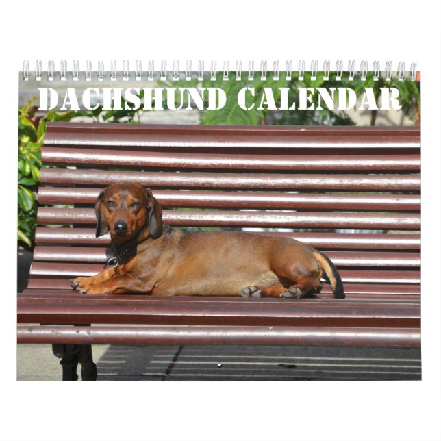 Dachshund Calendar 2026 with Photos Kalender (Omslag)