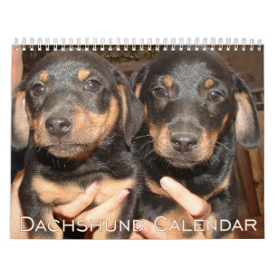 Dachshund Calendar 2026 with Photos Kalender