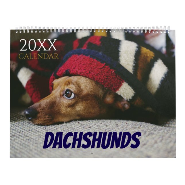 Dachshund Calendar Dog 2026 Photo Kalender (Omslag)