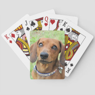 Dachshund Casinokort