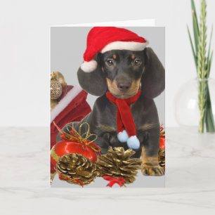 Dachshund christmas och prydnadsföremål helgkort