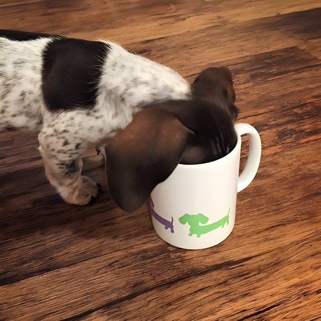 Dachshund Coffee Mugg Wiener Hund Doxie Kärlek (Skapare uppladdad)