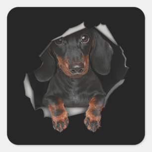Dachshund Cute Graphic Pet Clothing Hundälskares Fyrkantigt Klistermärke