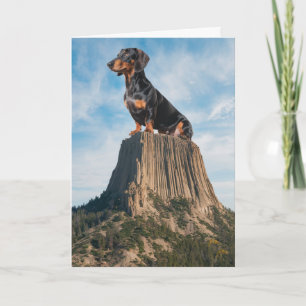 Dachshund Devil's Tower Kort