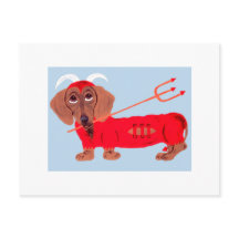 Dachshund Djävul