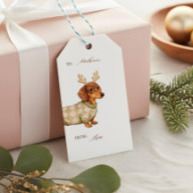 Dachshund Dog Christmas Checkered Sweater Photo