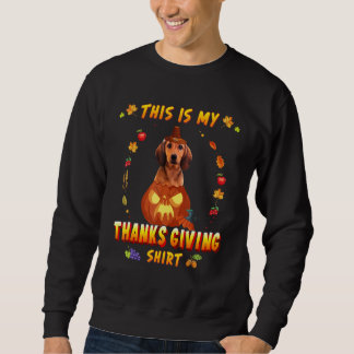 Dachshund Dog In The Pumpkin This Is My Thanksgivi Lång Ärmad Tröja