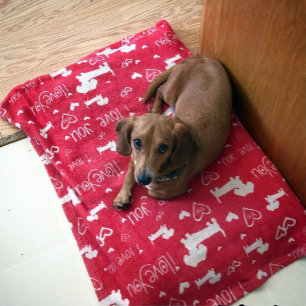 Dachshund Doxie Alla hjärtans dag Hjärtan Filta Fleecefilt