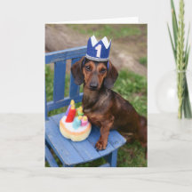 Dachshund Doxie Birthday Card Weiner Hund Puppy