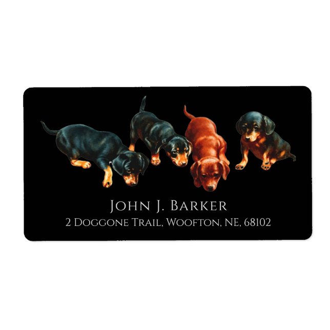 Dachshund Doxie Korv Hund Wiener Valpar  Fraktsedel (Framsidan)
