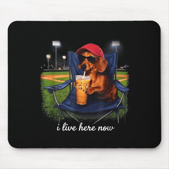 Dachshund dricker iskaffe basebollplan live musmatta (Framsidan)