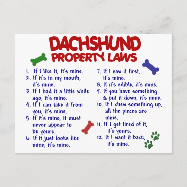 Dachshund Egendom Laws 2 Vykort (Framsida)