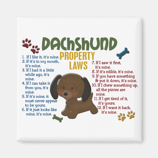 Dachshund Egendom Laws 4 Magnet (Framsidan)