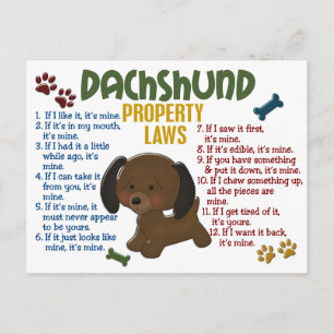 Dachshund Egendom Laws 4 Vykort