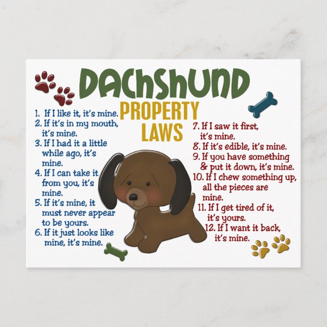 Dachshund Egendom Laws 4 Vykort (Framsida)