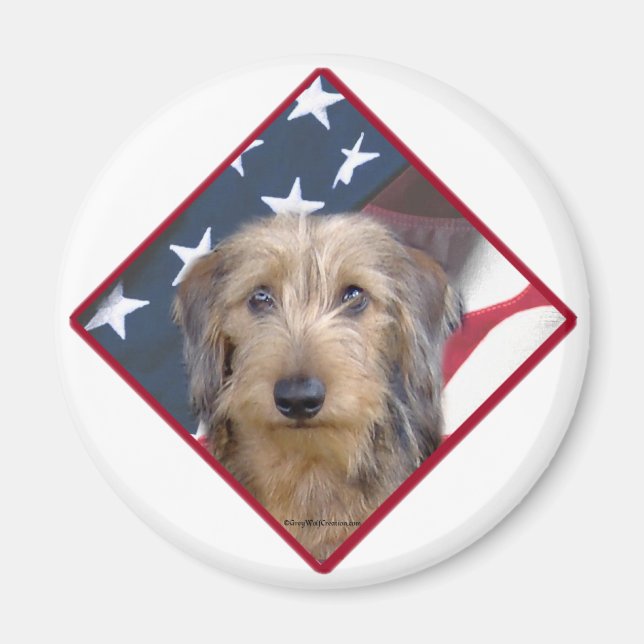 Dachshund Flagga 2 Magnet (Framsidan)