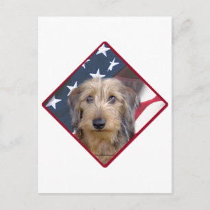 Dachshund Flagga 2 Vykort