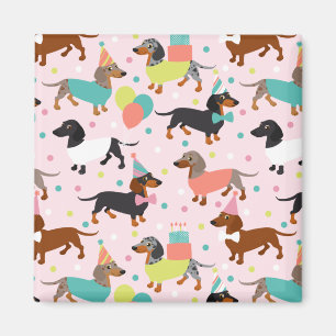Dachshund Födelsedagsfest Firande Magnet