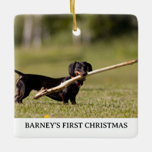 DACHSHUND Första julfotnoten Namn år Julgransprydnad Keramik