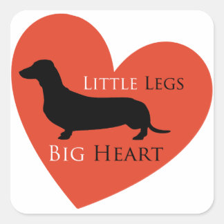 Dachshund Fyrkantigt Klistermärke