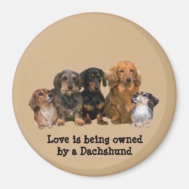 Dachshund Gang Magnet (Framsidan)