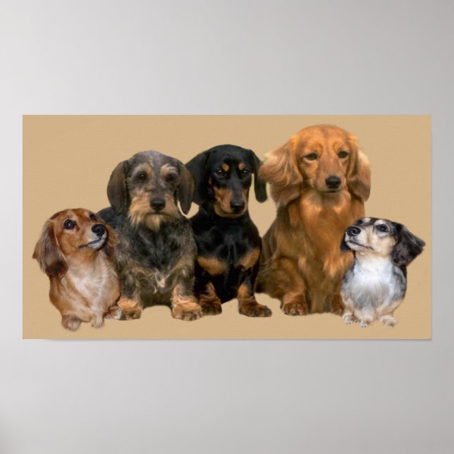 Dachshund Gang Skriv ut Poster (Framsidan)