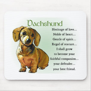 Dachshund-gåvor Musmatta