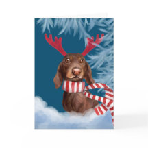 Dachshund genom Snö