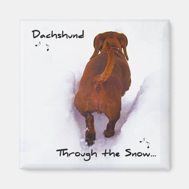 Dachshund genom Snö som går genom Snö Magnet (Framsidan)