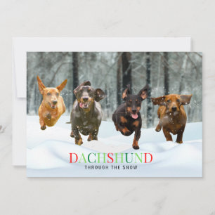 Dachshund genom snön 4 springande hundar roliga julkort