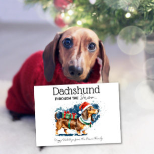 Dachshund Genom Snön Kort