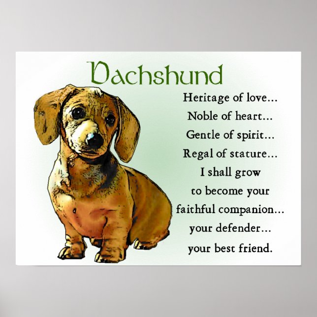 Dachshund Gifts Dachshund Poster utskrifter (Framsidan)