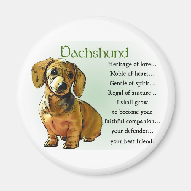 Dachshund Gifts Magnet (Framsidan)