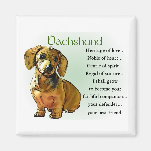 Dachshund Gifts Magnet (Framsidan)