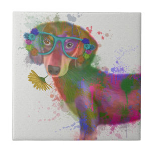 Dachshund & Glass Rainbow Stänk Kakelplatta