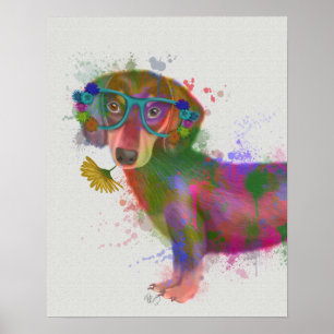 Dachshund & Glass Rainbow Stänk Poster