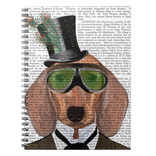 Dachshund Gröna Glasögon Topphatt Anteckningsbok Med Spiral (Framsidan)
