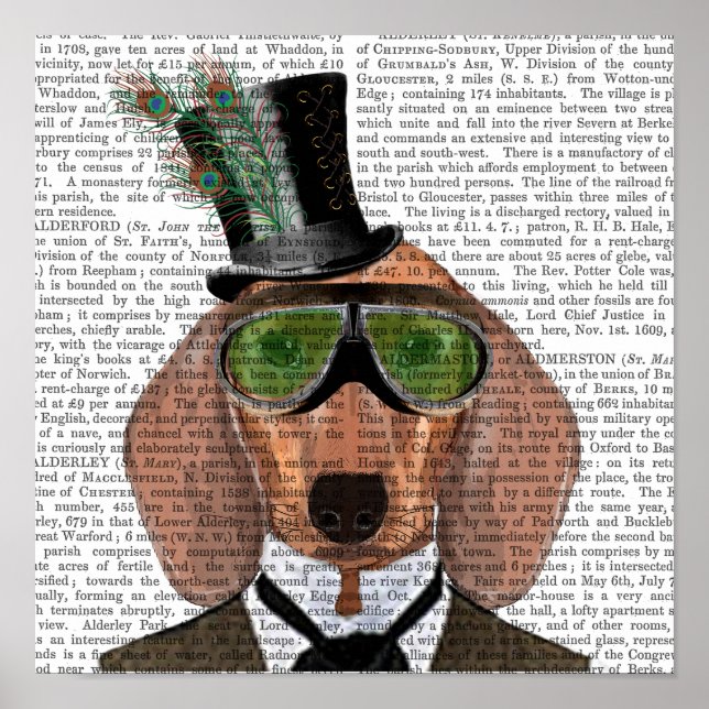Dachshund Grönt Goggles Top hat Poster (Framsidan)