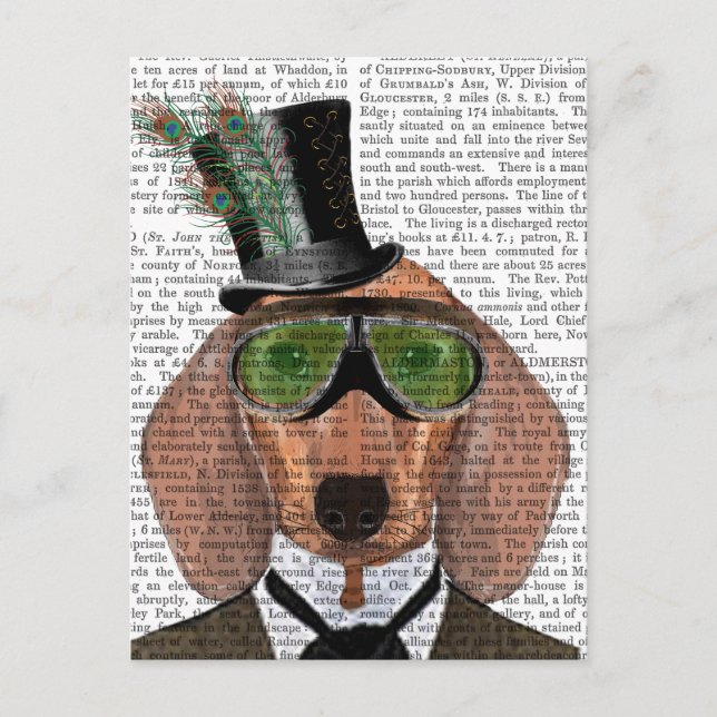 Dachshund Grönt Goggles Top hat Vykort (Framsida)